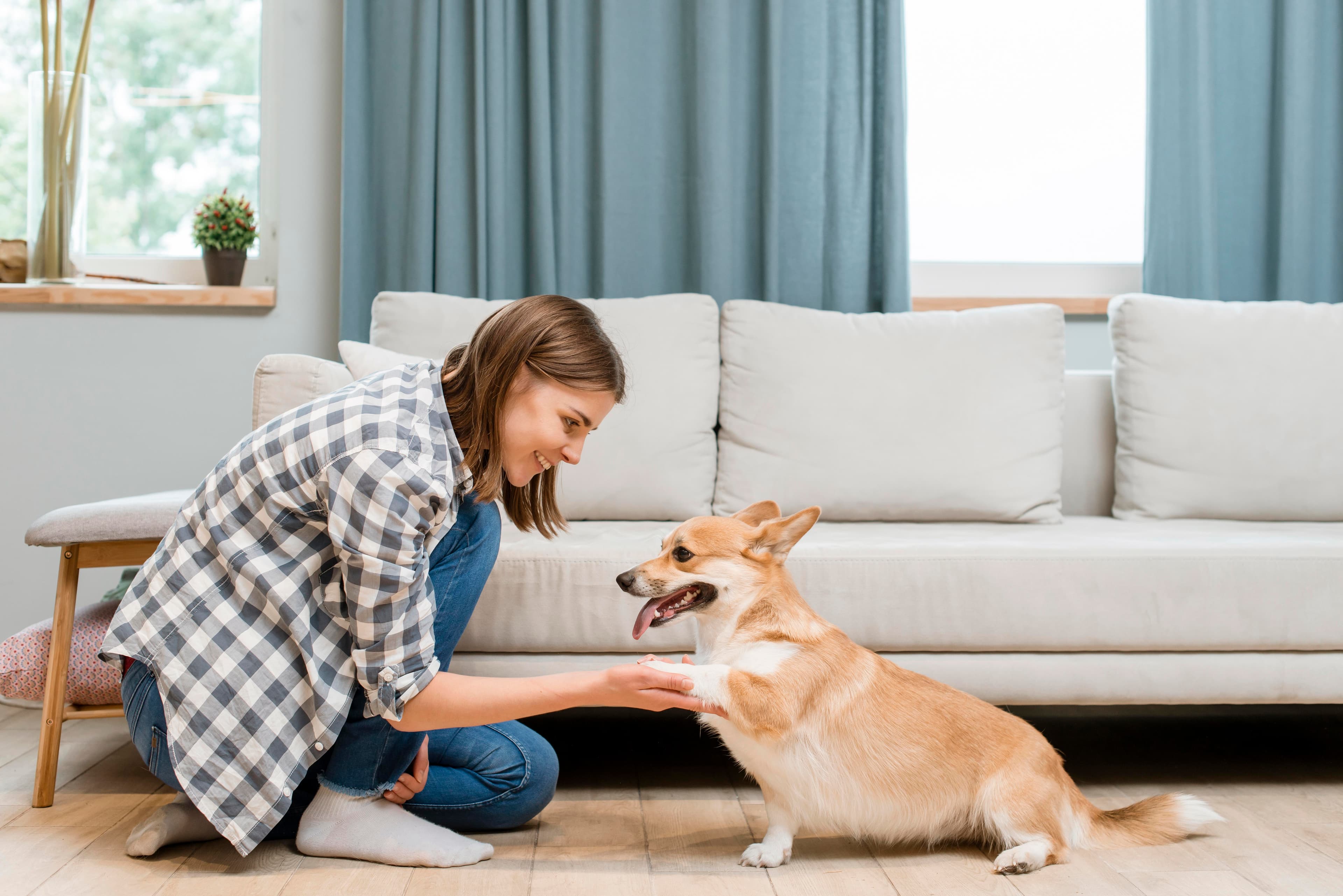 Tips for First-Time Pet Parents: At-Home Care